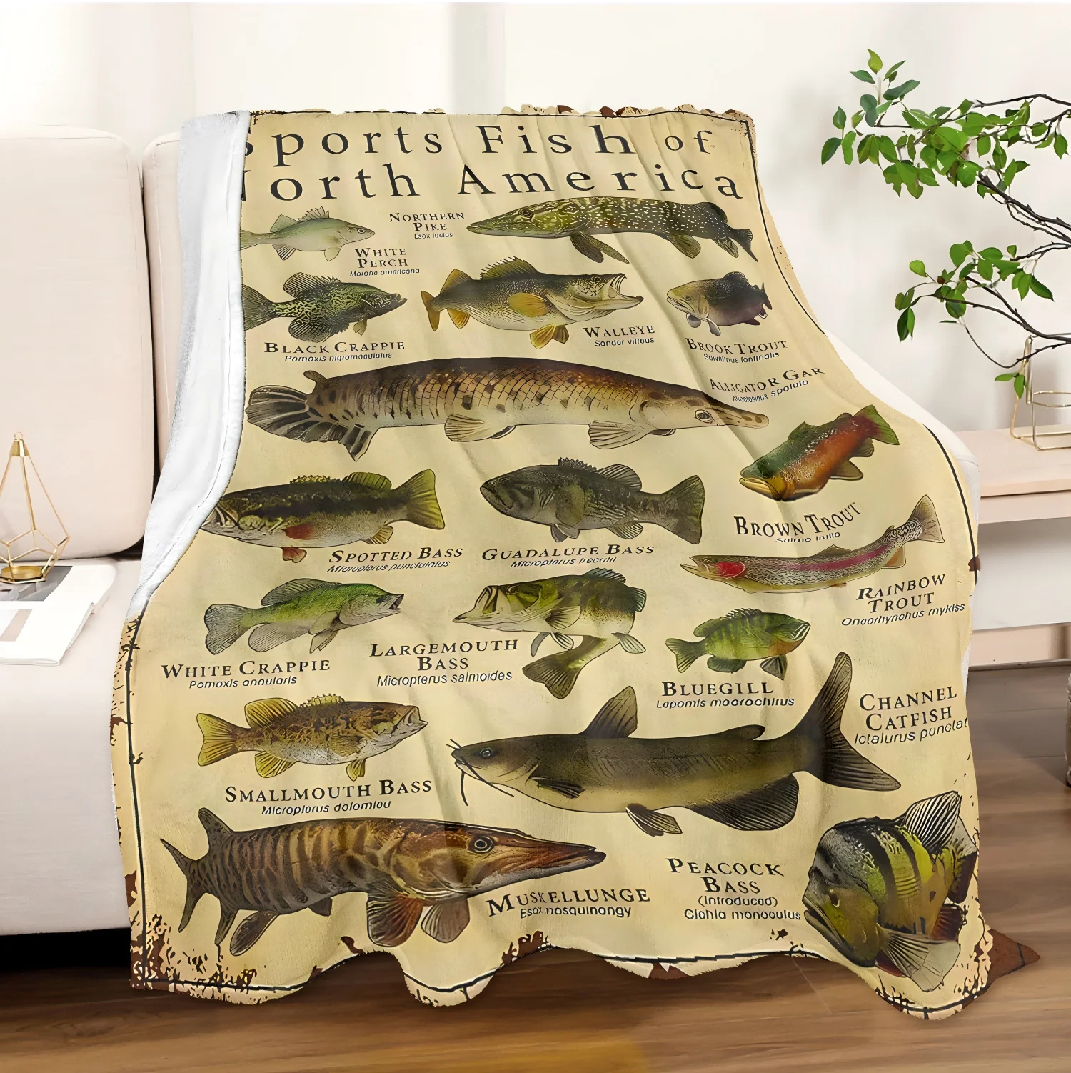1pc Throw Sports fish Pattern Flannel Blanket for Couch Bed Sofa Cozy Comfy Warm blankets Festival Gifts Family Decor all season
